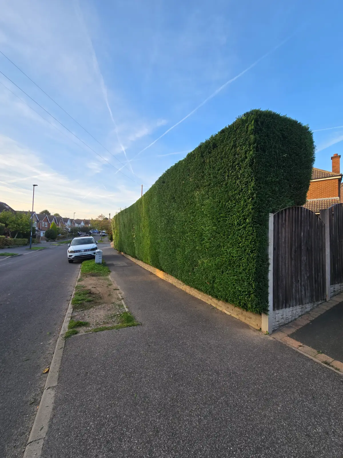 Regular garden maintenance showing a pristine lawn and pruned shrubs