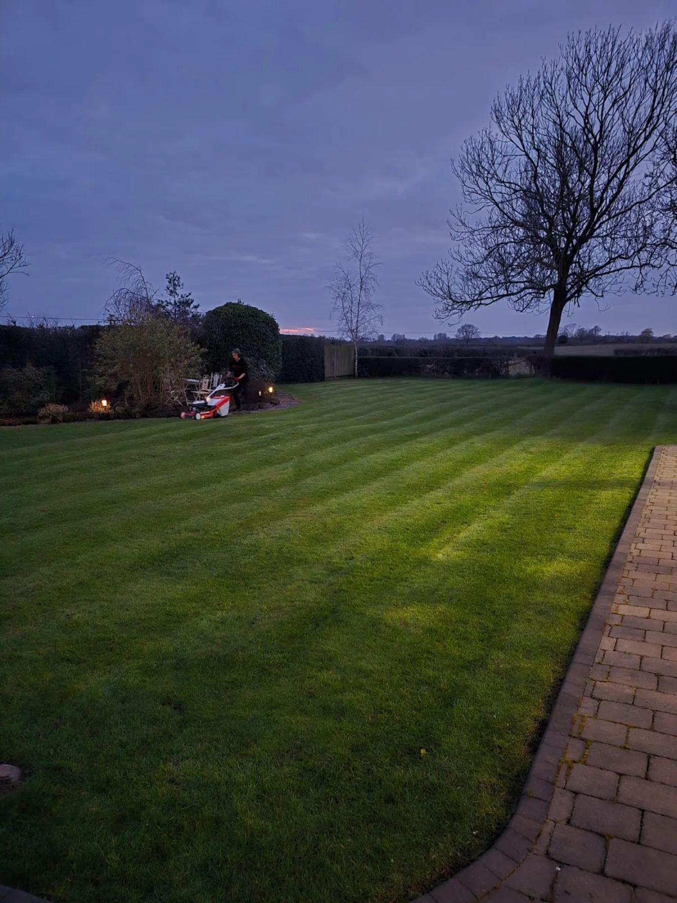 Well-maintained garden with neatly trimmed hedges and lawn