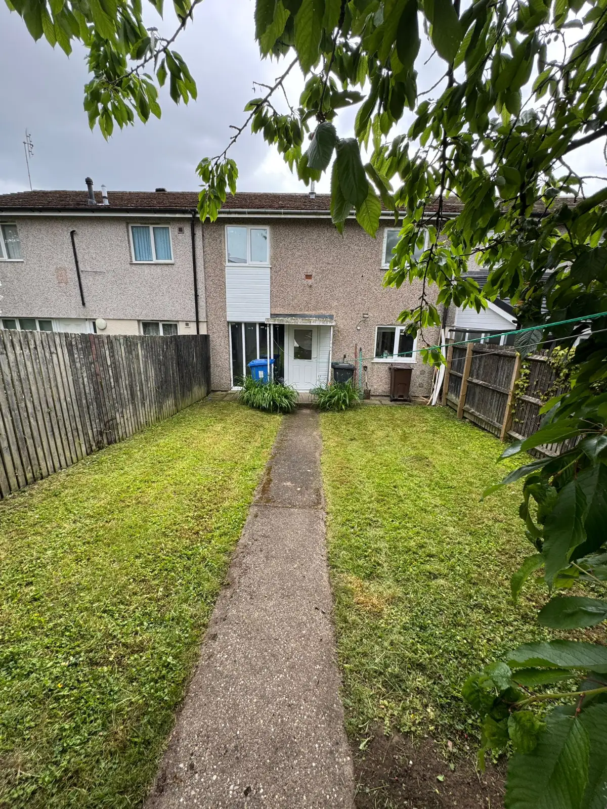 Garden maintenance project with mowed lawn and pruned shrubs