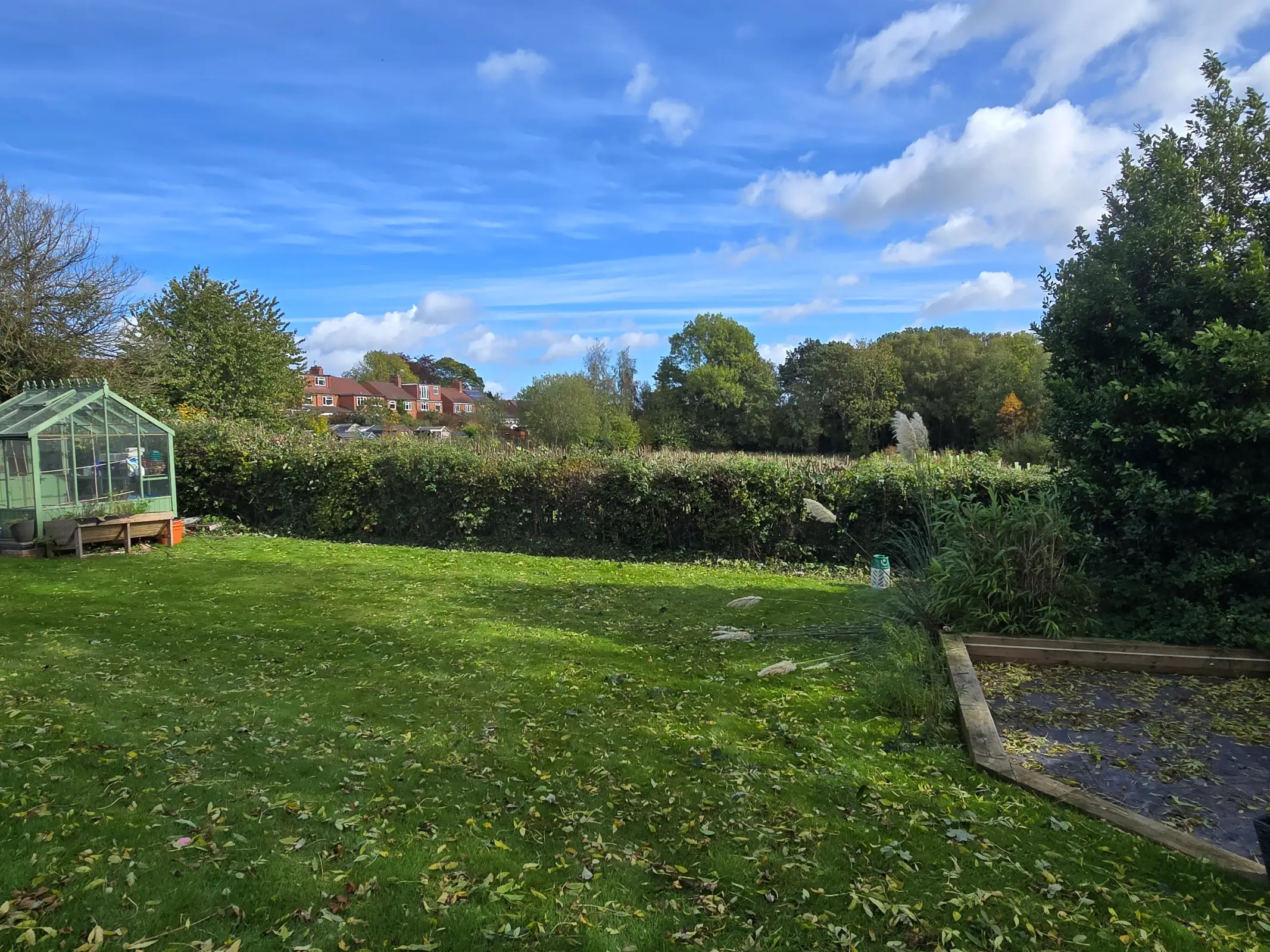 Recent garden project 5